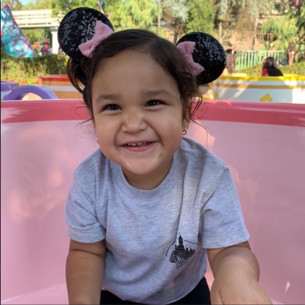 Toddler Gray Disney Shirt Best Day Ever Bella and Canvas Size 2T-5T - Picture 2 of 4
